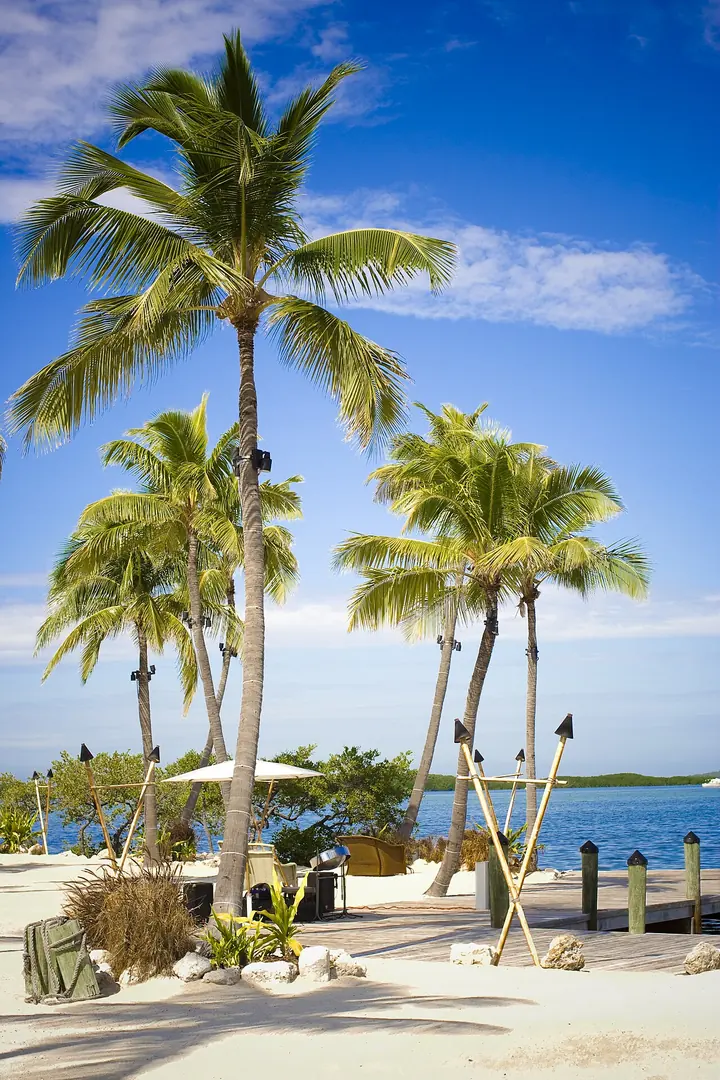 Stand-in photo for Cheeca Lodge & Spa, Islamorada