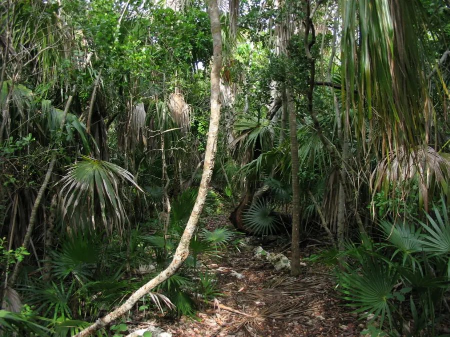 Photo of Curry Hammock State Park, Marathon