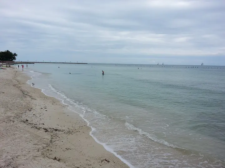 Photo of Higgs Beach, Key West