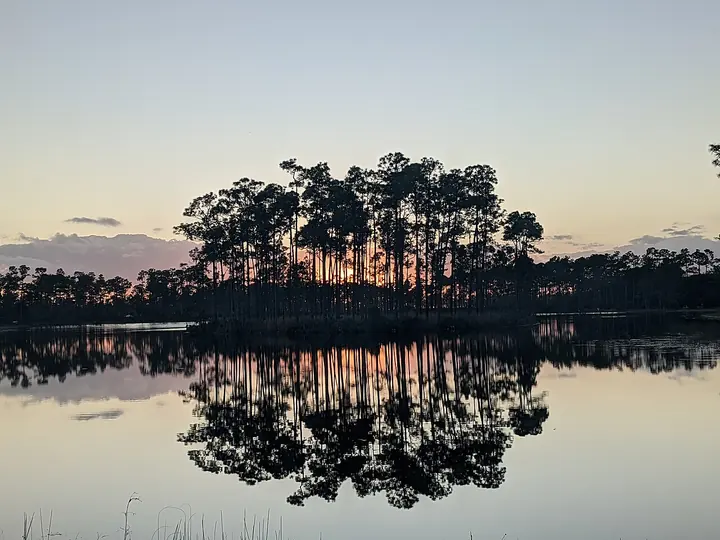 Photo of Long Pine Key Campground, Homestead
