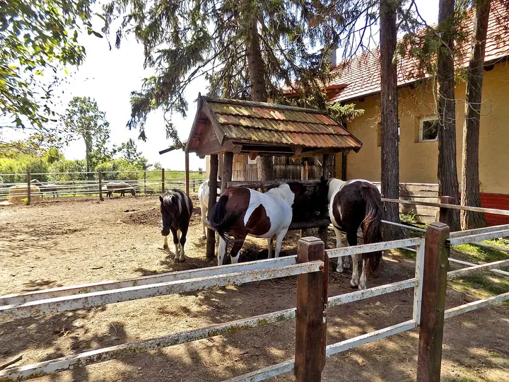 Stand-in photo for Redstone Ranches, Coconut Creek