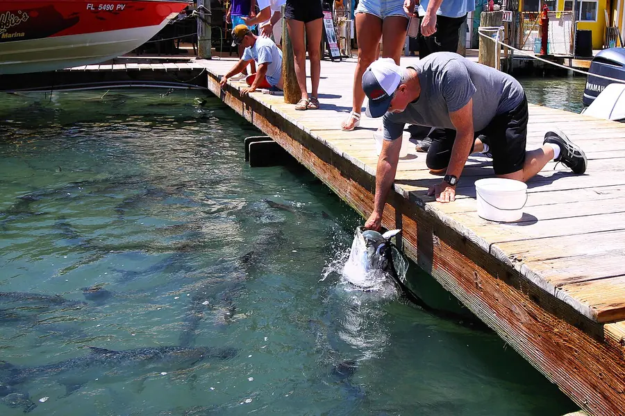 Photo of Robbie's of Islamorada, Islamorada